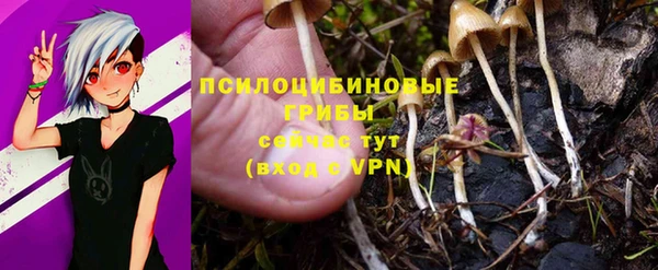 герыч Белокуриха