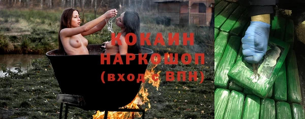 a pvp Бородино