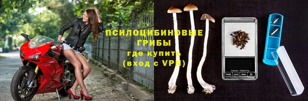 a pvp Бородино