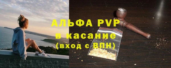 a pvp Бородино