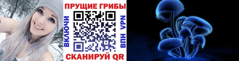 darknet телеграм МЕГА онион Гороховец Галлюциногенные грибы GOLDEN TEACHER